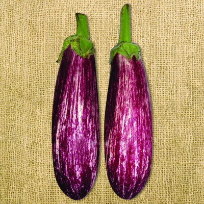 Σπόροι μελιτζάνας τσακώνικης